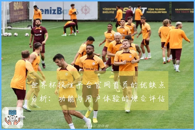 世界杯投注平台官网首页的优缺点分析：功能与用户体验的综合评估