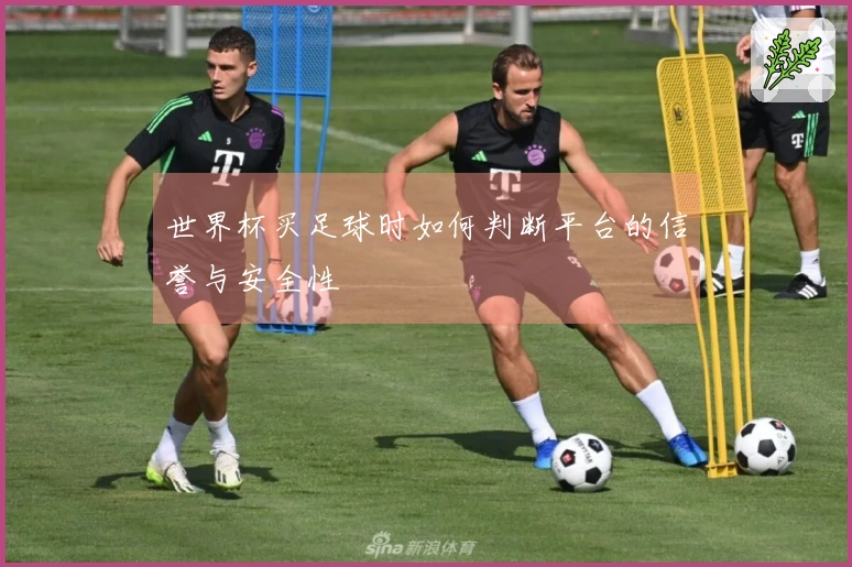 世界杯买足球时如何判断平台的信誉与安全性
