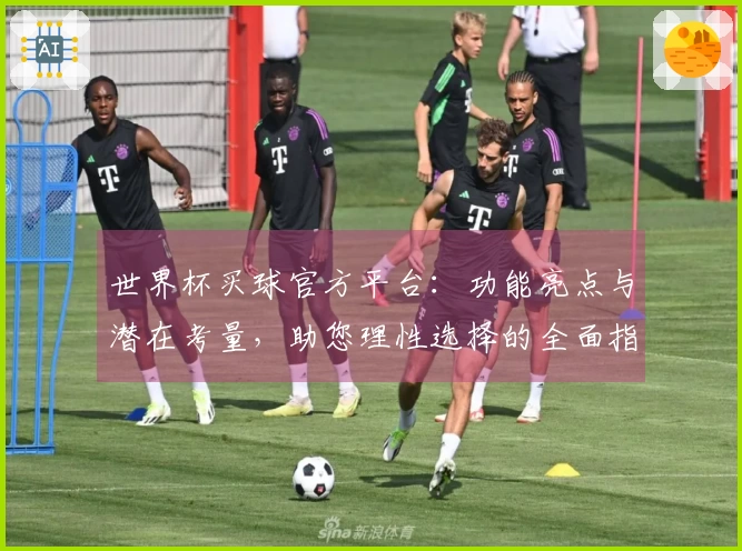 世界杯买球官方平台：功能亮点与潜在考量，助您理性选择的全面指南