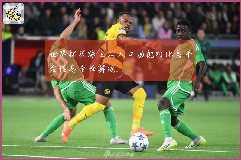 世界杯买球主站入口功能对比与平台信息全面解读