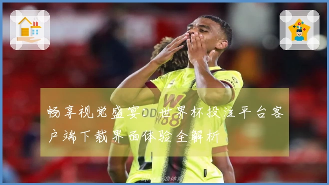 畅享视觉盛宴：世界杯投注平台客户端下载界面体验全解析