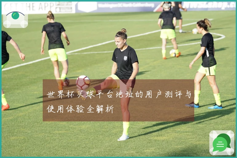 世界杯买球平台地址的用户测评与使用体验全解析