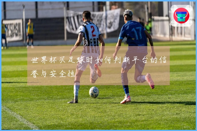世界杯买足球时如何判断平台的信誉与安全性