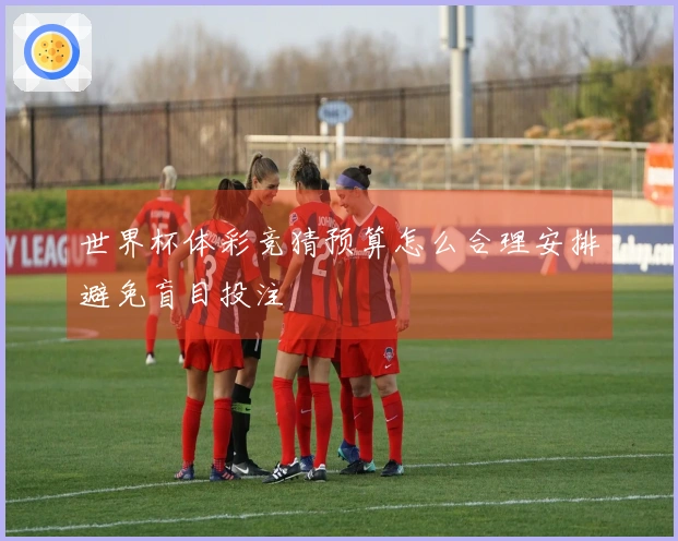 世界杯体彩竞猜预算怎么合理安排避免盲目投注