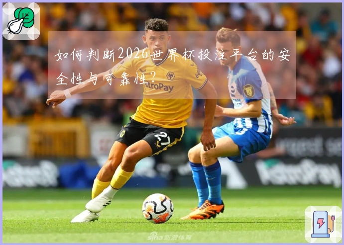 如何判断2026世界杯投注平台的安全性与可靠性？