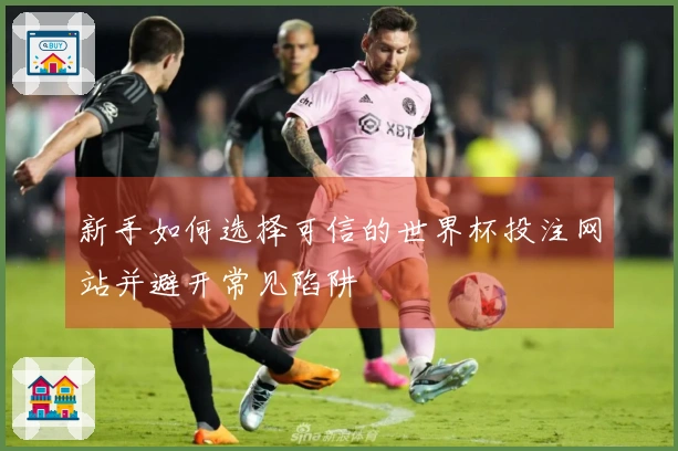 新手如何选择可信的世界杯投注网站并避开常见陷阱
