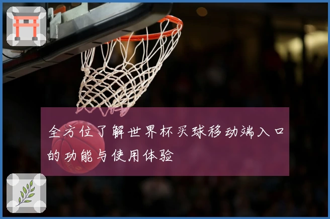 全方位了解世界杯买球移动端入口的功能与使用体验