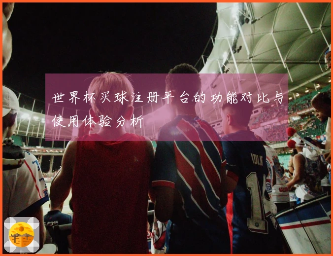 世界杯买球注册平台的功能对比与使用体验分析