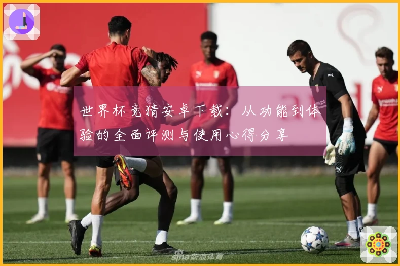 世界杯竞猜安卓下载：从功能到体验的全面评测与使用心得分享